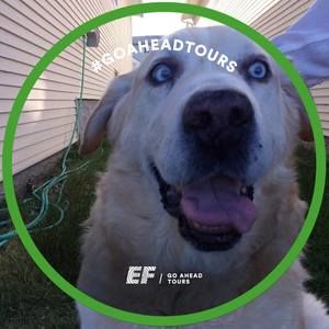 Meet your Posher, Susanne